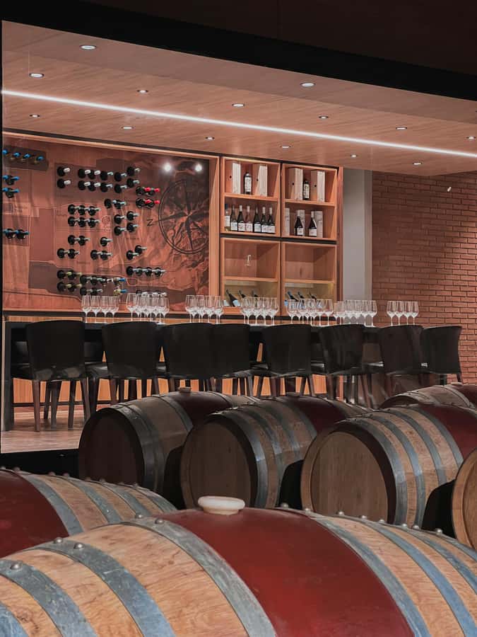Santiago: Casa del Bosque Winery with Tasting and Lunch - Tips to get the most out of the day