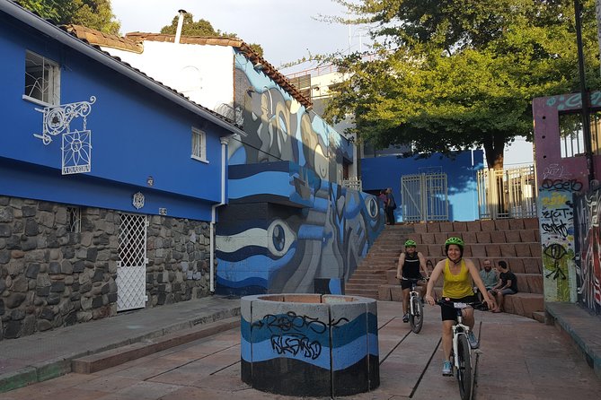 Santiago Center Cultural Bike Tour - Mercado Tirso de Molina: Murals, Fruit, Veg, and Fresh Natural Juices