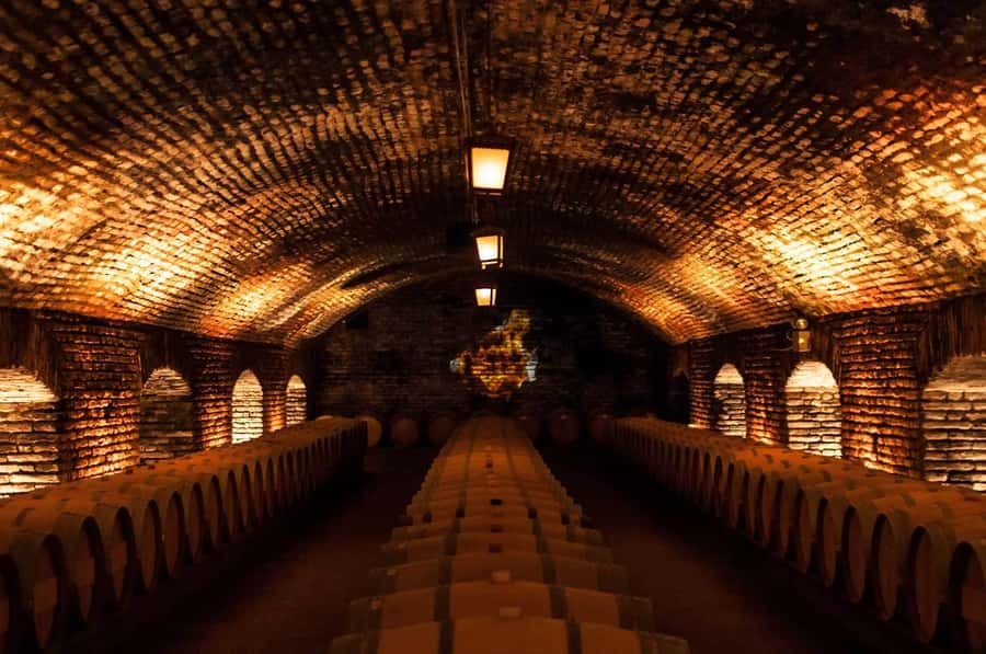 Santiago: Concha y Toro and Undurraga Vineyards Tour - Quick take