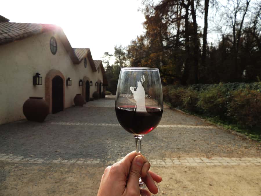 Santiago: Concha y Toro and Undurraga Vineyards Tour - Viña Undurraga: the calm start and the reserve wine tasting rhythm