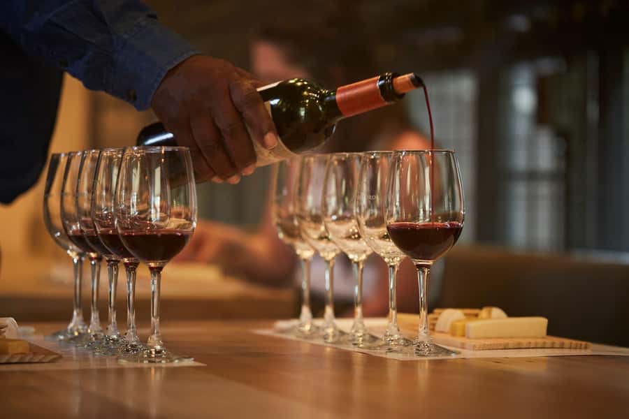 Santiago: Concha y Toro Vineyard Tour w/ Transfer & Tasting - Key highlights worth your attention