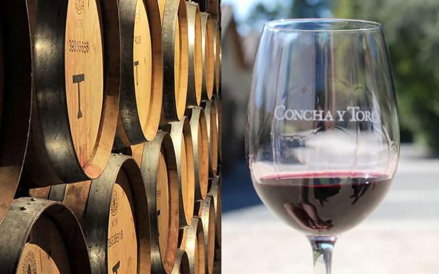 Santiago: Concha y Toro Vineyard Tour w/ Transfer & Tasting - Guides and drivers: the difference between a fun day and a forgettable one