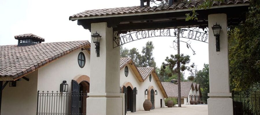 Santiago: Concha y Toro Winery 4–Hour Tour & Sommelier Class - Price and value: what $88 buys you in real terms