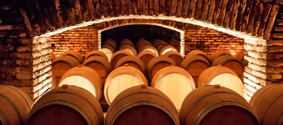 Santiago: Concha y Toro Winery 4–Hour Tour & Sommelier Class - Concha y Toro from the pickup to the first sip