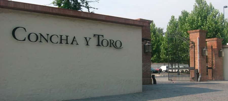 Santiago: Concha y Toro Winery 4–Hour Tour & Sommelier Class - Old Pirque vineyard and the Maipo Valley view
