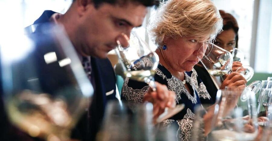 Santiago: Concha y Toro Winery 4–Hour Tour & Sommelier Class - Language matters more than you think