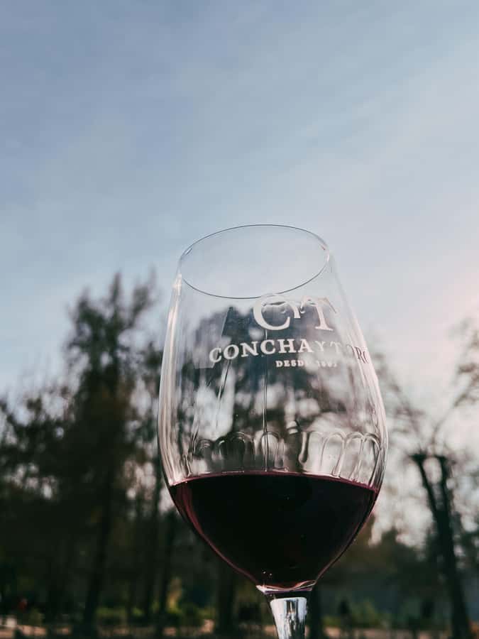 Santiago: Concha y Toro with transfer, tasting & gift cup - Jardim das Varieties and Grapes: What You Learn Beyond the Label