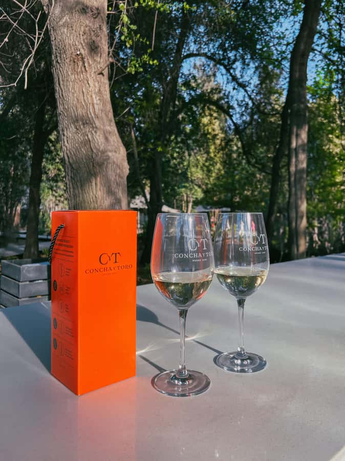 Santiago: Concha y Toro with transfer, tasting & gift cup - Casillero del Diablo Cellars: The Century-Old Story in Cool Air