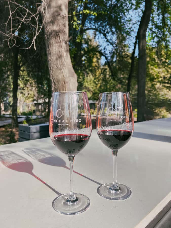 Santiago: Concha y Toro with transfer, tasting & gift cup - Wine Shop Time and Bringing Chile Home