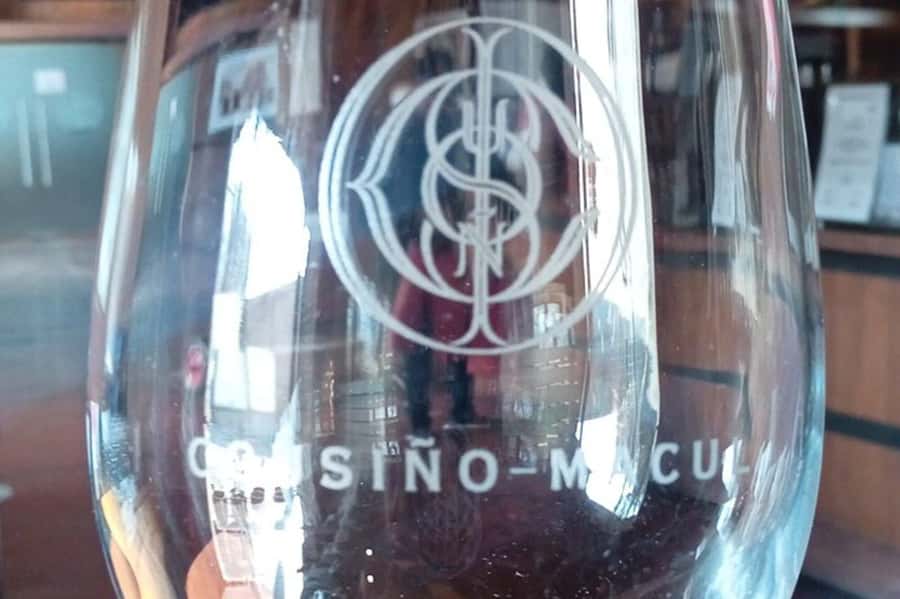 Santiago: Cousiño Macul Vineyard Premium Tasting Tour - Your Guide Makes or Breaks the Experience