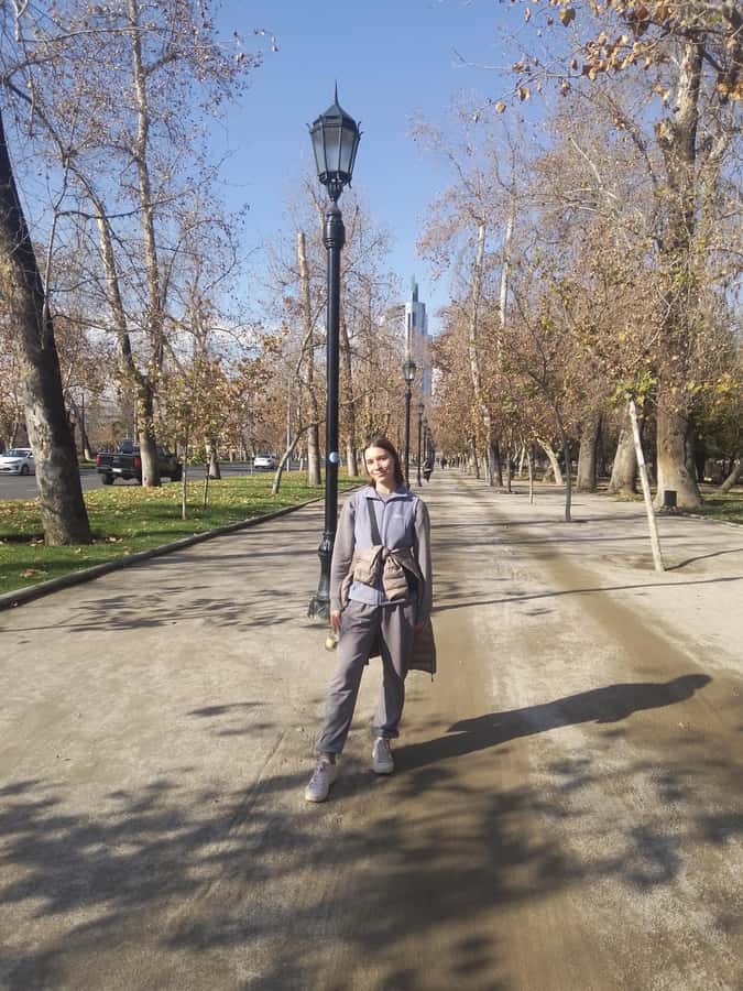 Santiago: Guided Walking Tour of the Historical Old Town - Santa Lucia Hills panoramas, then Lastarria and Forest Park