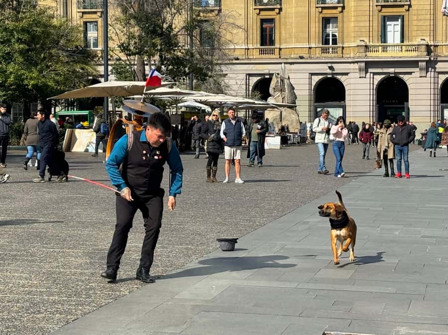 Santiago Half-Day Walking Tour with Hotel Pick up & Brunch - Pickup neighborhoods, van ride style, and where the time savings really show