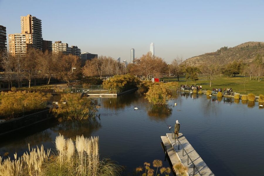 Santiago Half-Day Walking Tour with Hotel Pick up & Brunch - Santiago Central Market and Portal Fernández Concha: snack time that actually feels local