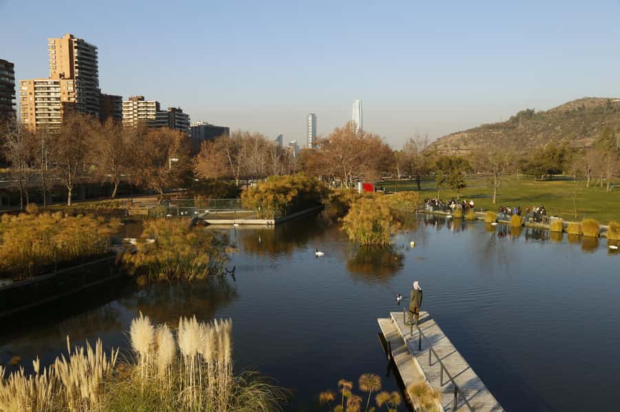 Santiago Half-Day Walking Tour with Hotel Pick up & Brunch - Plaza de Armas and the Cathedral inside: where the city story clicks