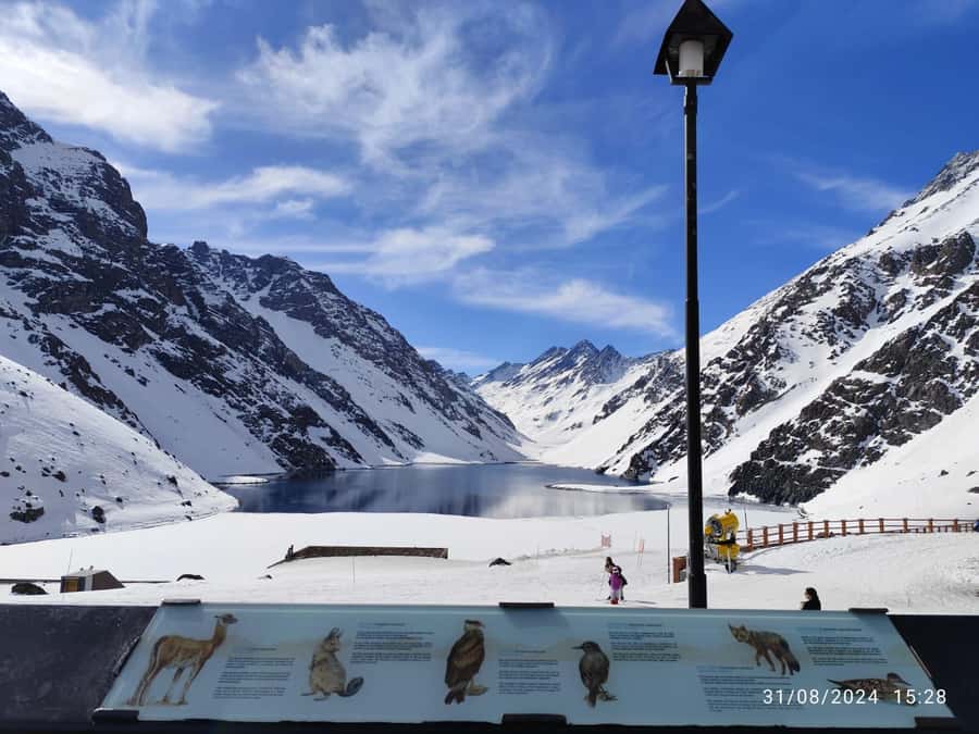 Santiago: Inca Lagoon Tour with Local Vineyard and Tasting - The Andes climb: Aconcagua views and the road to Portillo