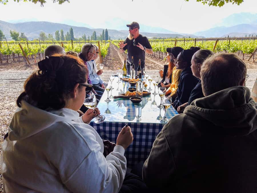 Santiago: Inca Lagoon Tour with Local Vineyard and Tasting - San Esteban vineyard: where the wine isn’t an afterthought