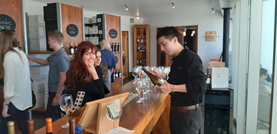 Santiago: Main Chilean Wineries Private Half-Day Tours - FAQ