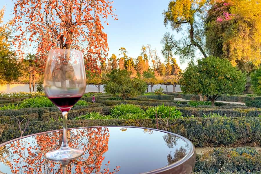 Santiago: Main Chilean Wineries Private Half-Day Tours - How the Guide Connects Chile’s Wine World Before You Arrive