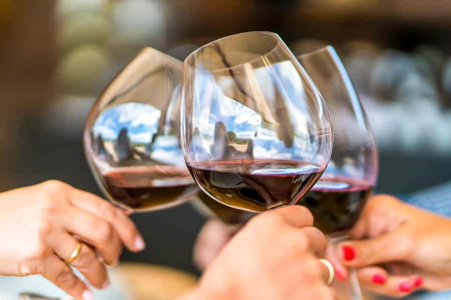 Santiago: Main Chilean Wineries Private Half-Day Tours - Small Group Limits, Smooth Timing, and How to Make the Most of 5 Hours