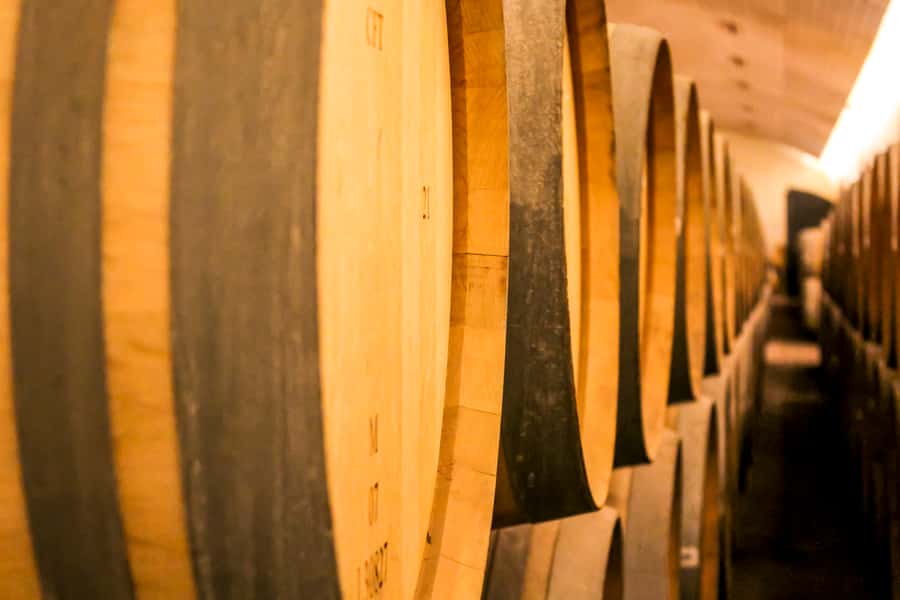 Santiago: Main Chilean Wineries Private Half-Day Tours - Price and Value: What $290 Covers for a Half-Day