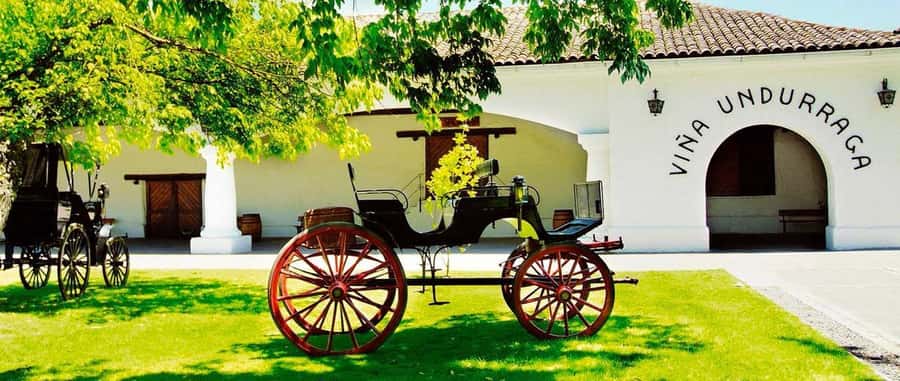 Santiago: Main Chilean Wineries Private Half-Day Tours - Who Should Book This Tour, and Who Might Prefer Another Plan