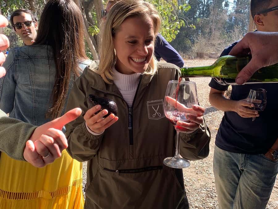Santiago: Maipo Valley Wine Tasting Tour with 4 Vineyards - Key things I’d circle before you book