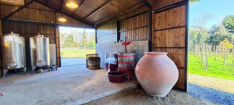 Santiago: Maipo Valley Wine Tasting Tour with 4 Vineyards - Price and value: what $134 buys in real terms
