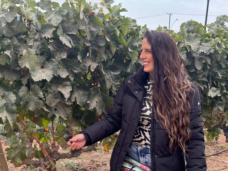 Santiago: Maipo Valley Wine Tasting Tour with 4 Vineyards - First out of Santiago: quick Maipo River photo stop