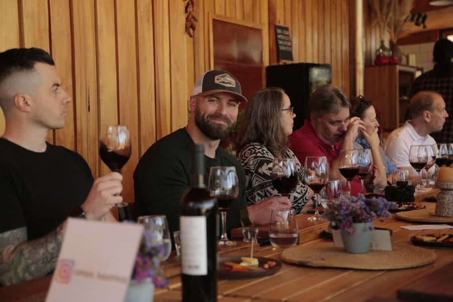 Santiago: Maipo Valley Wine Tasting Tour with 4 Vineyards - Campo La Quirinca: alpacas, farm tours, and Chilean pisco
