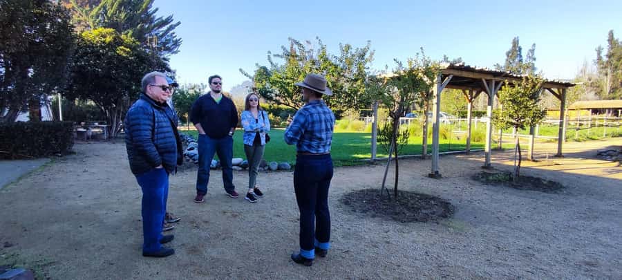 Santiago: Maipo Valley Wine Tasting Tour with 4 Vineyards - TerraMater: lunch reset and Chile’s olive oil focus
