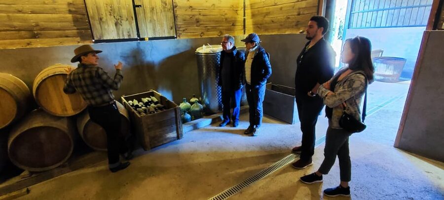 Santiago: Maipo Valley Wine Tasting Tour with 4 Vineyards - How to pace the wine so you still enjoy the ride home