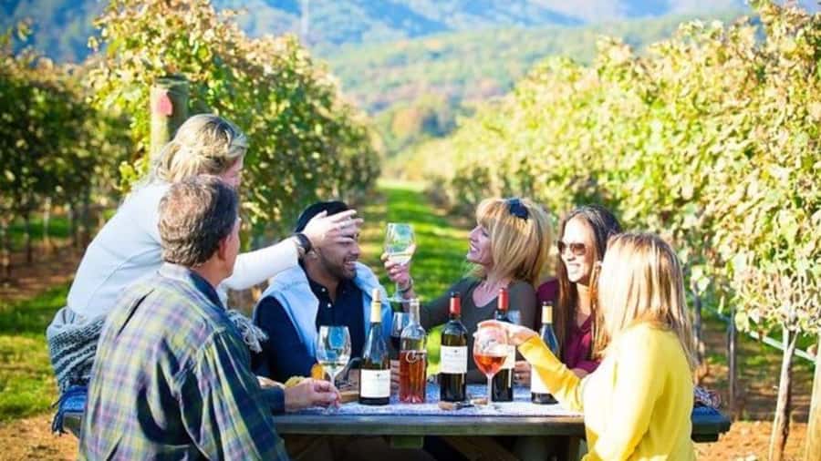 Santiago: Maipo Valley Wine Tasting Tour with 4 Vineyards - Hotel pickup and the real meaning of “10 hours”