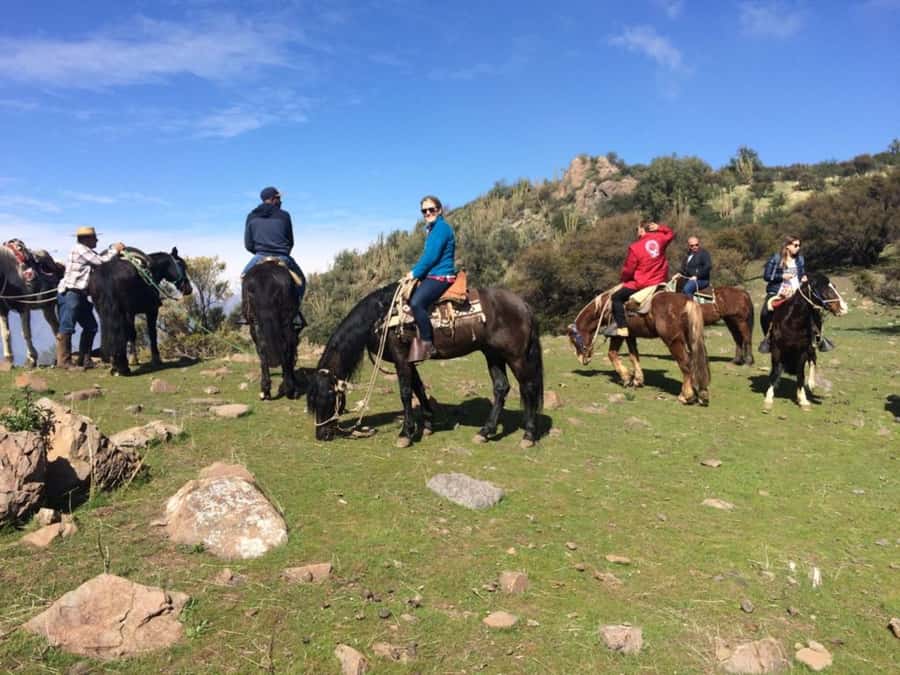 Santiago: Private Andes Foothills Horseback Riding. Half day - Choosing the right Chilean horse: calm mounts and traditional tack