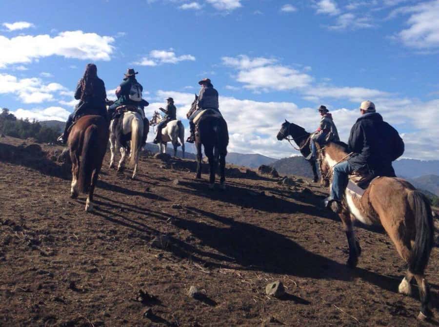 Santiago: Private Andes Foothills Horseback Riding. Half day - Price and value: what $250 buys you in real terms