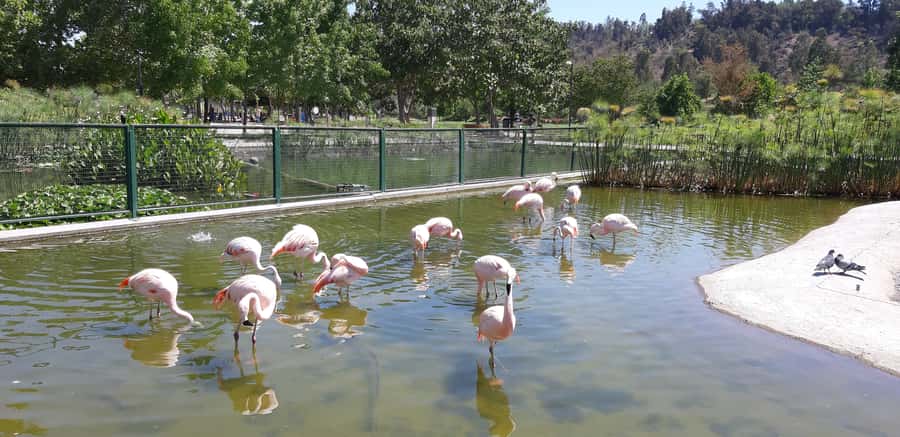 Santiago: Private Half-Day City Tour - Private Pickup, Private Car, Real City Time