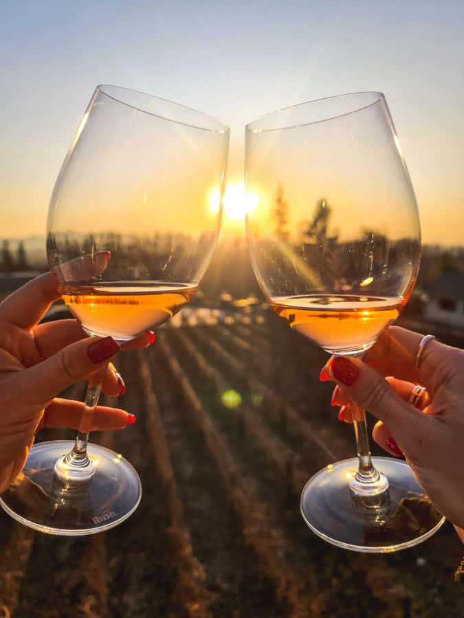 Santiago: Sunset at Vinicola Alyan Family - Price and logistics, plain talk