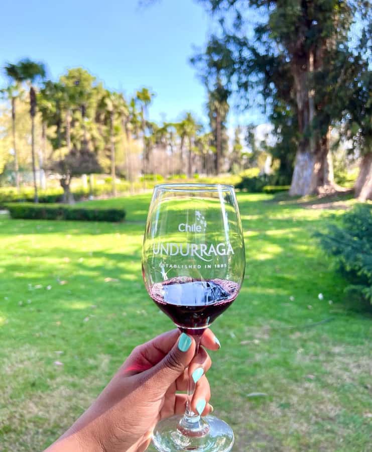 Santiago: Tour to Isla Negra, Algarrobo and Undurraga Wines - Isla Negra and Pablo Neruda’s house: the poet’s ocean-facing treasure room