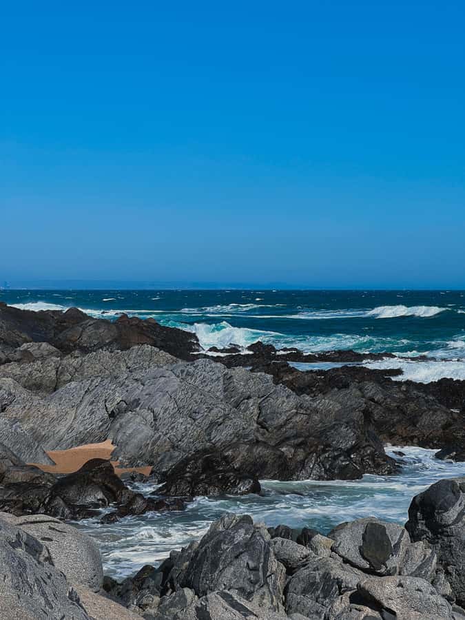 Santiago: Tour to Isla Negra, Algarrobo and Undurraga Wines - Why this combo is smart: wine, resort coast, and Neruda in one day