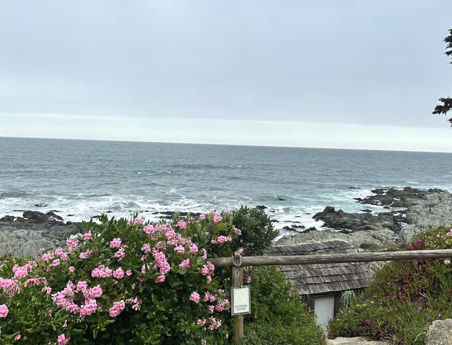Santiago: Tour to Isla Negra, Algarrobo and Undurraga Wines - Price and value: what $76 covers, and what you should budget for