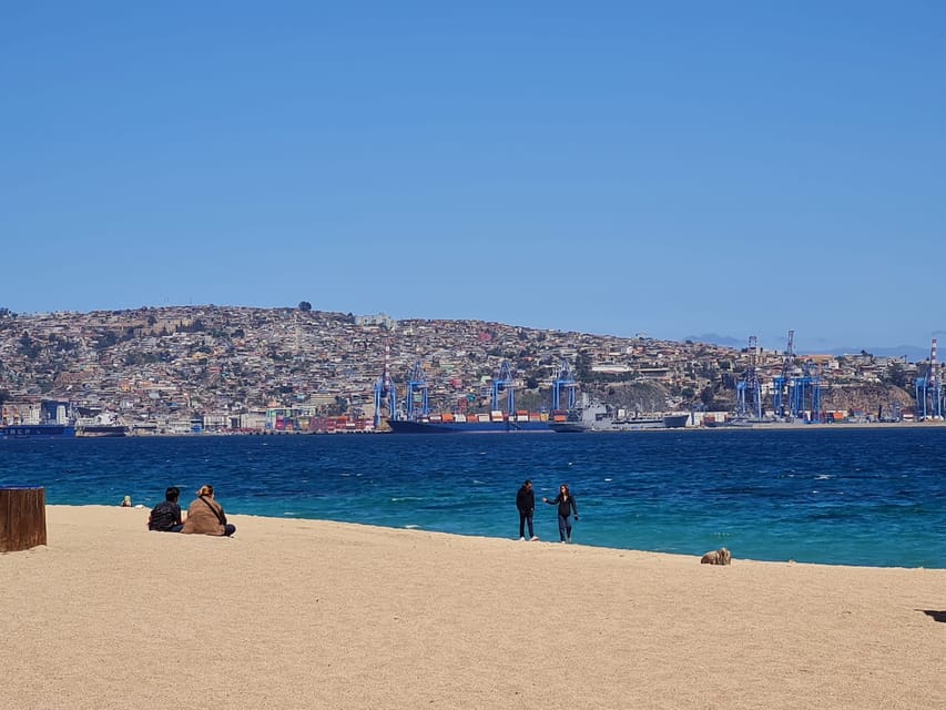 Santiago: Tour to Valparaiso and Casablanca - Group size and van comfort: the “small” part matters