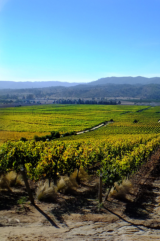 Santiago: Tour to Valparaiso and Casablanca - Food and timing: what to plan when lunch is not included