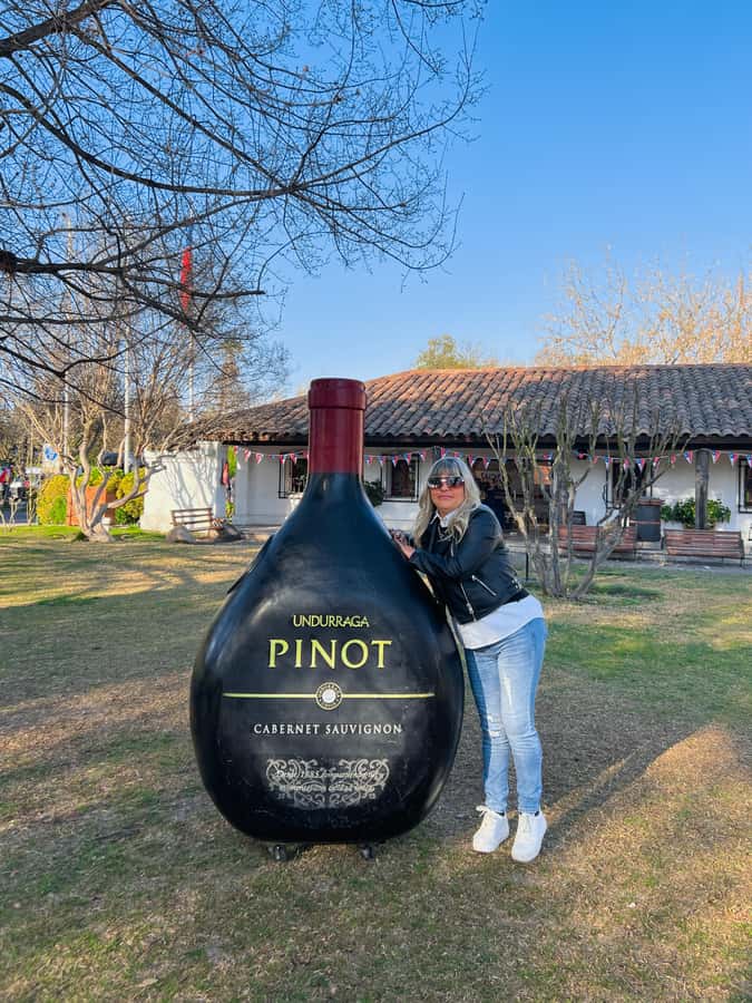 Santiago: Undurraga Winery Tour with Entry and Wine Tasting - Key highlights worth planning for