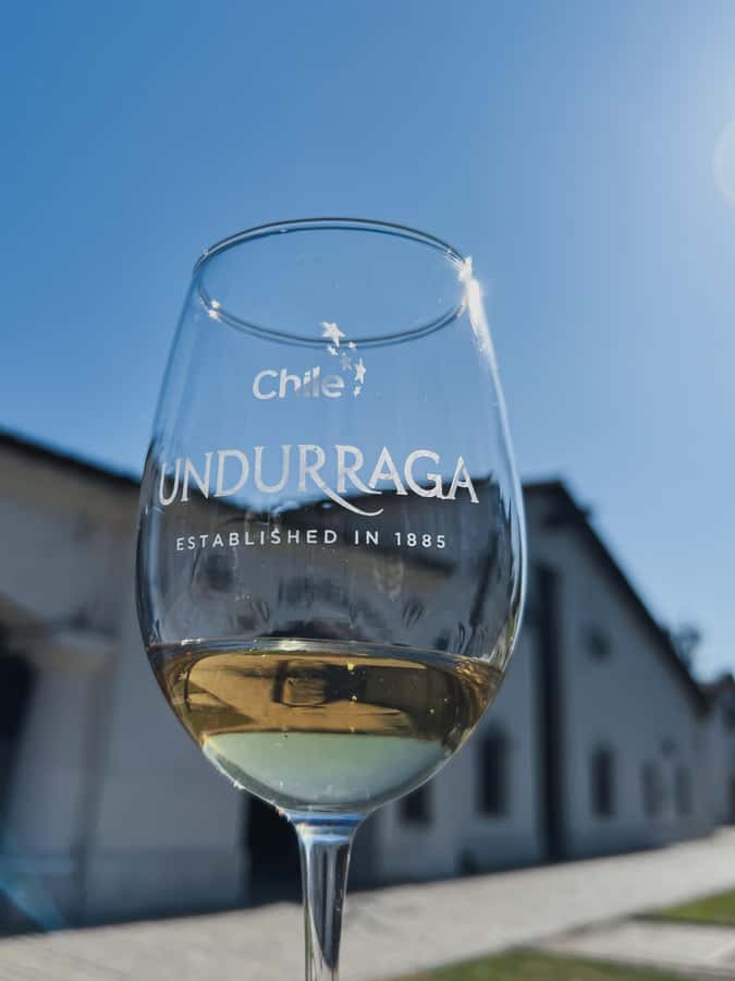 Santiago: Undurraga Winery Tour with Entry and Wine Tasting - Practical tips so your half-day stays relaxed