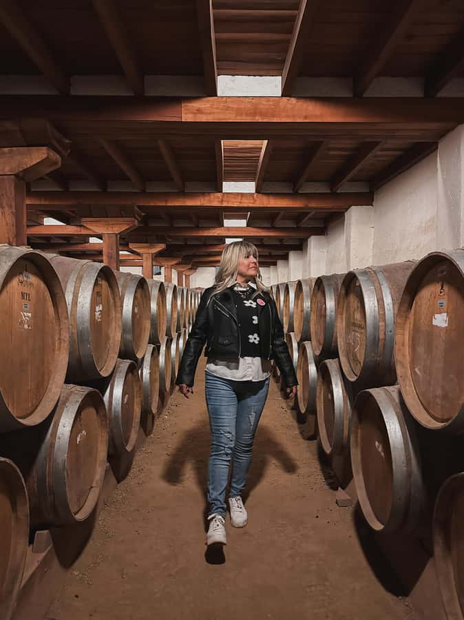 Santiago: Undurraga Winery Tour with Entry and Wine Tasting - Undurraga in the Maipo Valley, why this winery feels like a great starting point