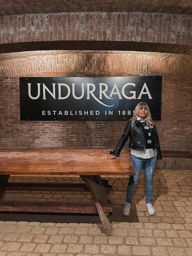 Santiago: Undurraga Winery Tour with Entry and Wine Tasting - Touring Undurraga’s gardens, vines, and panoramic views