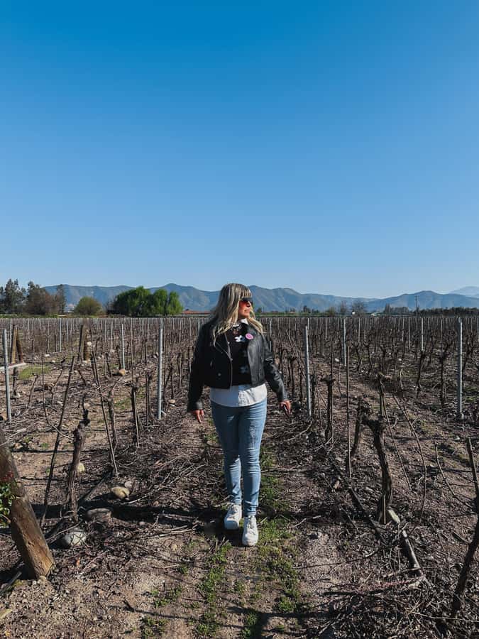 Santiago: Undurraga Winery Tour with Entry and Wine Tasting - Inside the cellars, including the Museum of the Mapuche People