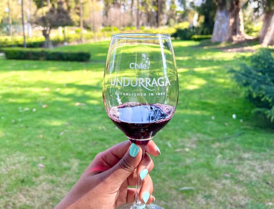 Santiago: Undurraga Winery Tour with Entry and Wine Tasting - Wine shop time, local products, and bringing bottles back smartly