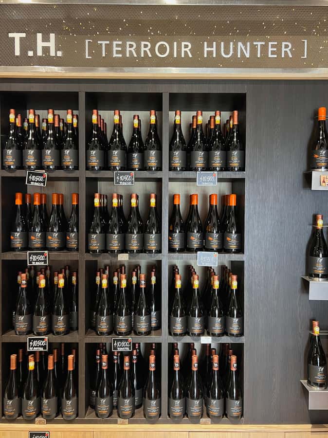 Santiago: Undurraga Winery Tour with Entry and Wine Tasting - Who should book this tour, and who should skip it