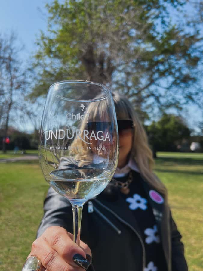 Santiago: Undurraga Winery Tour with Entry and Wine Tasting - Getting to Fundo Santa Ana from Santiago, and why pickup timing matters