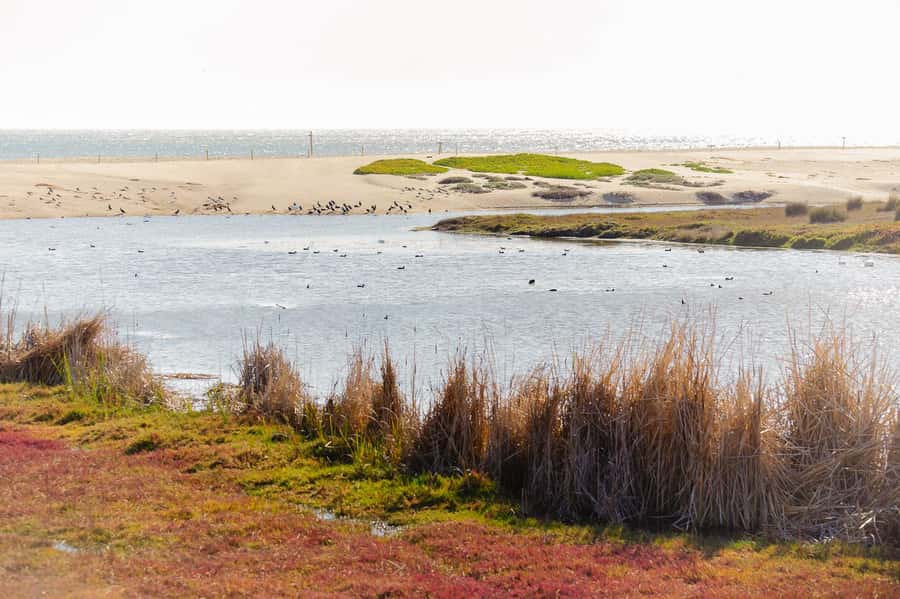 Santiago: Veramonte Vineyard, Isla Negra and Algarrobo, - How the 10-Hour Loop Works from Santiago